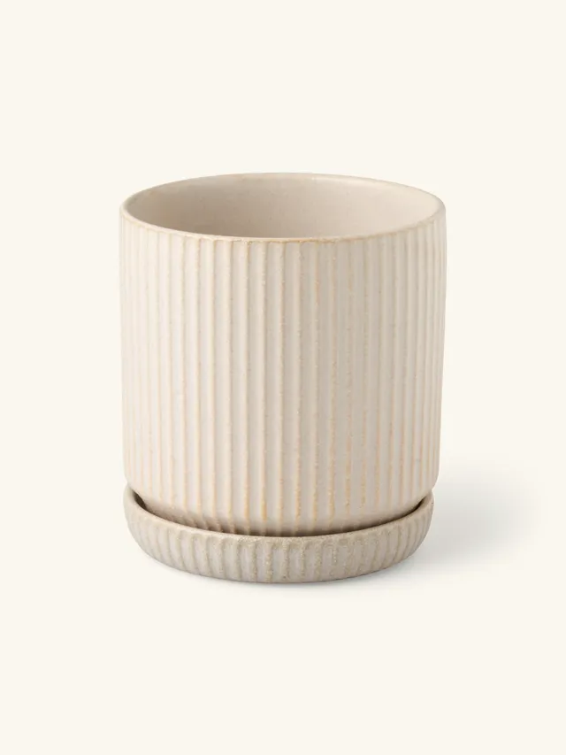 Pot