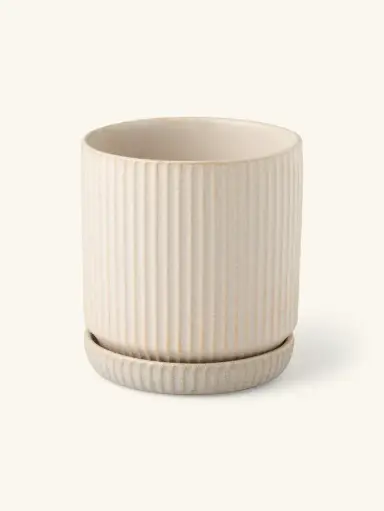 Pot