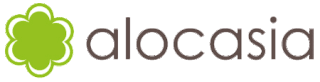 My Website